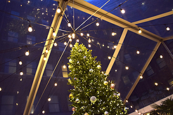 HOLIDAYS AT THE SORRENTO